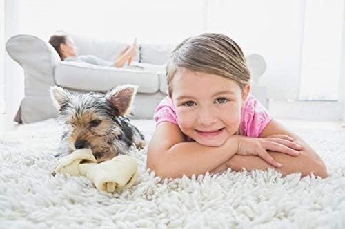 Capture Carpet & Rug Dry Cleaner w/Brush - Dogs & Cats Pet, Home, Car, Carpet Cleaner Powder - Strength Odor Eliminator, Stains Spot Remover, Non Liquid & No Harsh Chemical (1 lb)