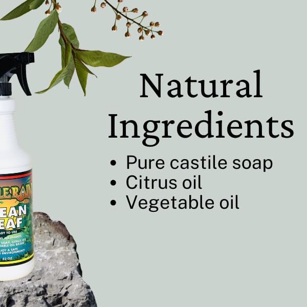 Jungle Rain Clean Leaf – Natural, Non-Toxic Plant & Tree Cleaner with Orange Oil & Castile Soap, Ready-to-Use 32oz Spray for Indoor & Outdoor Care, Defends Plants, Keeps Bugs at Bay, Since 1995