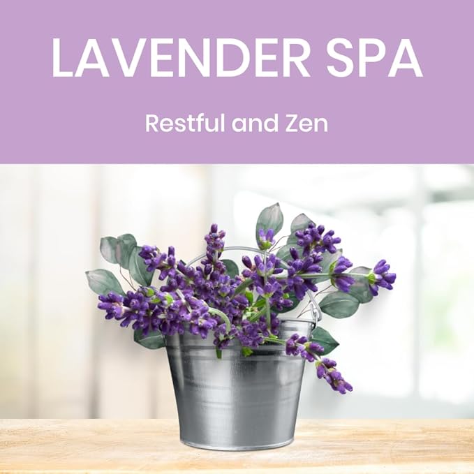 All Purpose Cleaner Spray, Non-Toxic, Kitchen, Bath, Countertop, Stainless, Safe around Kids + Pets, Natural Lavender Spa Scent, 25 oz (2 Pack)