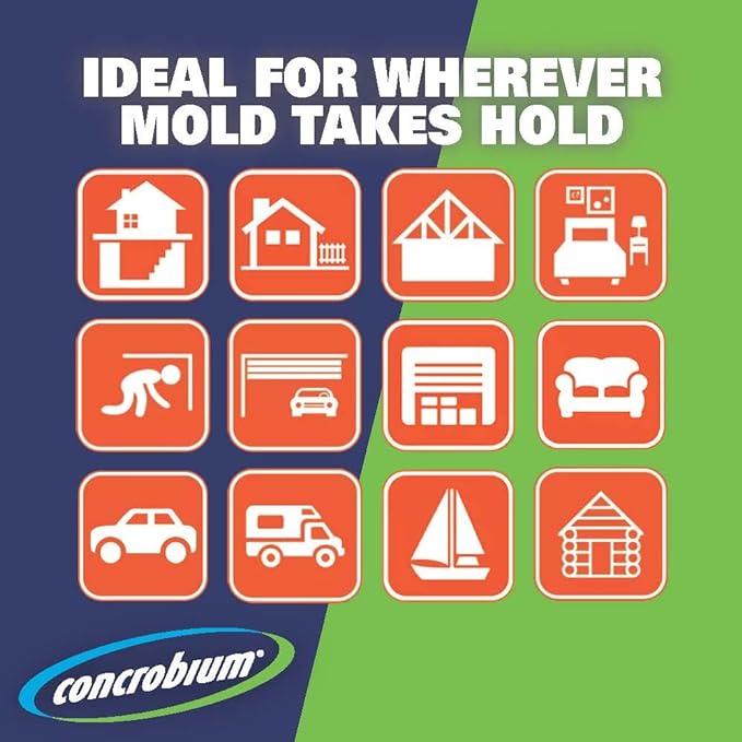 Concrobium 25001CAL Mold Control, 1 Gallon