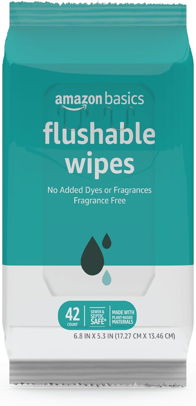 Amazon Basics Flushable Adult Toilet Wipes, Fragrance Free, 504 Count (12 Packs of 42)