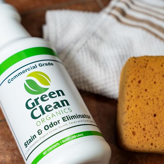 Stain & Odor Eliminator For Strong Odor - Enzyme Cleaner and Urine Remover - Multi Purpose - Laundry Deodorizer and Carpet Spotter- Organic Waste Remover for All Surface