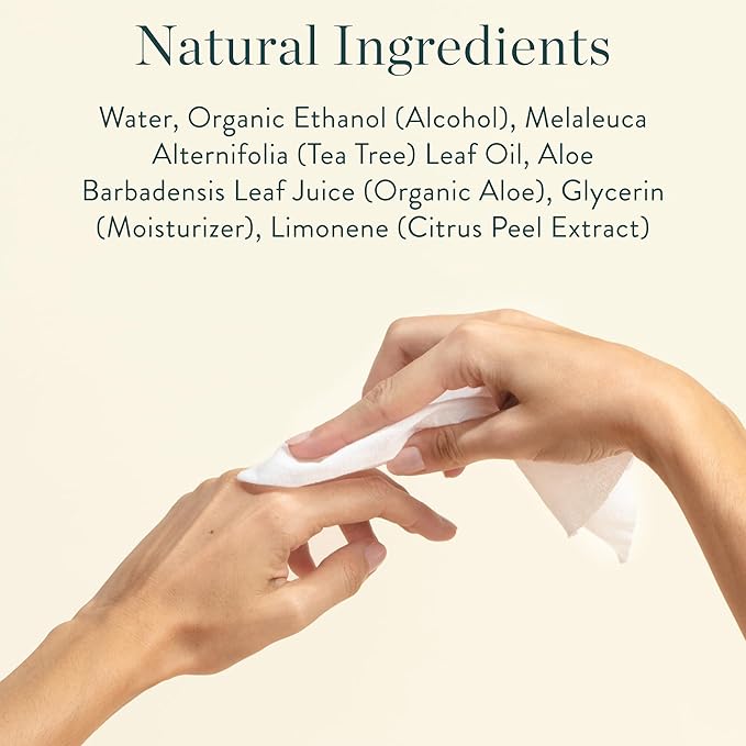 Biodegradable Hand Sanitizing Wipes 4-Pack Refill Kit - Non-Toxic Kid-Safe Wipes | Plant-Based Hand Sanitizer for Home & Travel | All Natural Wet Wipe with Aloe for Soft Skin | Tea Tree Scent