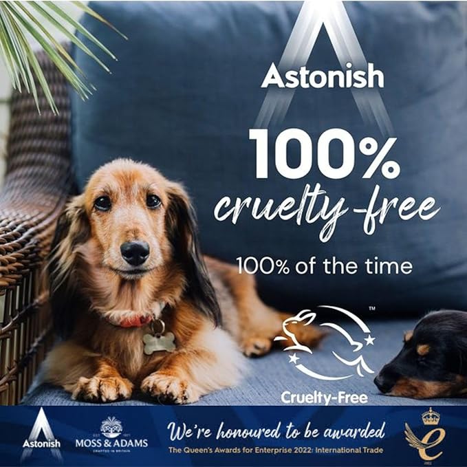 Astonish Specialist Oven & Grill Cleaner & Sponge, 250g – Powerful Degreasing Paste with Orange Oil, Restores Shine Without Harsh Chemicals – For Ovens, Grills, Racks & Toughened Glass