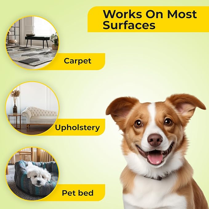 Aromasong Carpet Deodorizer - 100% Natural Carpet Freshener Powder - Safe For Pets - Carpet Powder For Vacuuming - Upholstery Deodorizer - Effective Pet Odor Eliminator For Strong Odor & Pet Urine