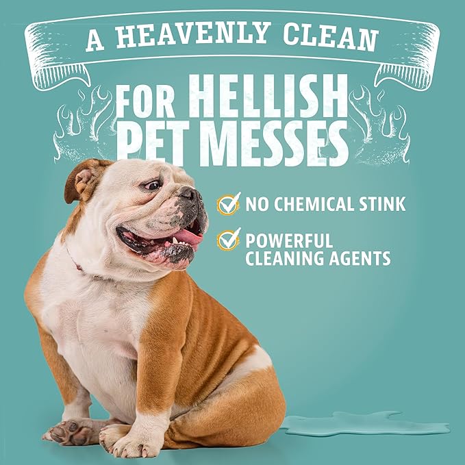 ANGRY ORANGE Foaming Carpet & Upholstery Cleaner for Dog Urine and Stains - Citrus - 24 oz - Value 2 Pack