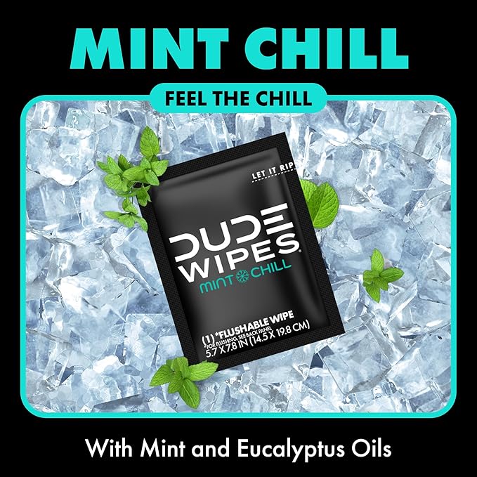 DUDE Wipes - On-The-Go Flushable Wipes - 48 Count (Pack of 2) - Mint Chill Extra-Large Individually Wrapped Adult Wet Wipes with Eucalyptus & Tea Tree Oil - Septic and Sewer Safe