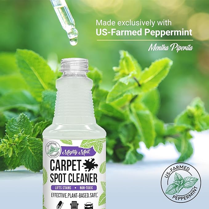 Mighty Mint Carpet Spot Cleaner, Non-Toxic Spray to Remove Carpet Stains Instantly, Natural Peppermint Scent, 16oz