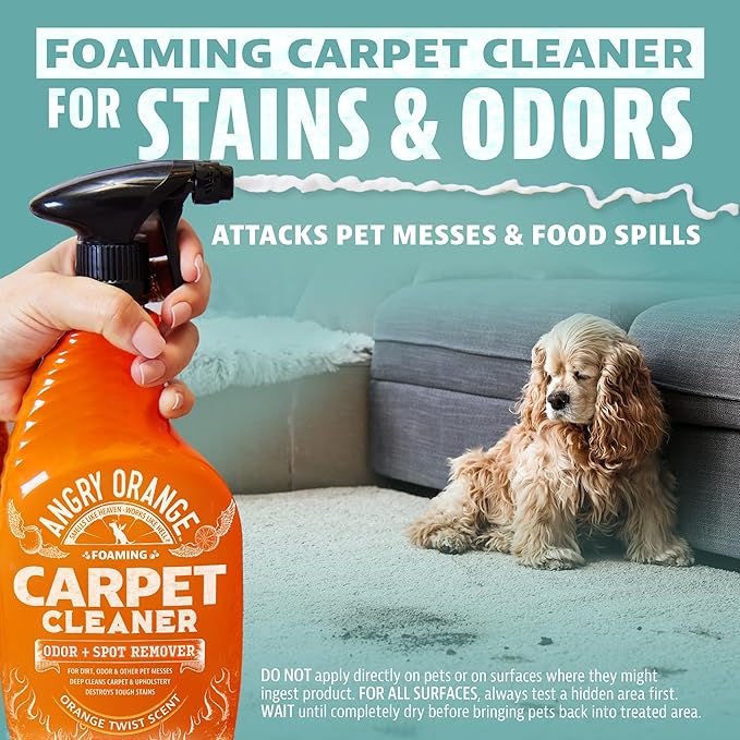 ANGRY ORANGE Foaming Carpet & Upholstery Cleaner for Dog Urine and Stains - Citrus - 24 oz - Value 2 Pack