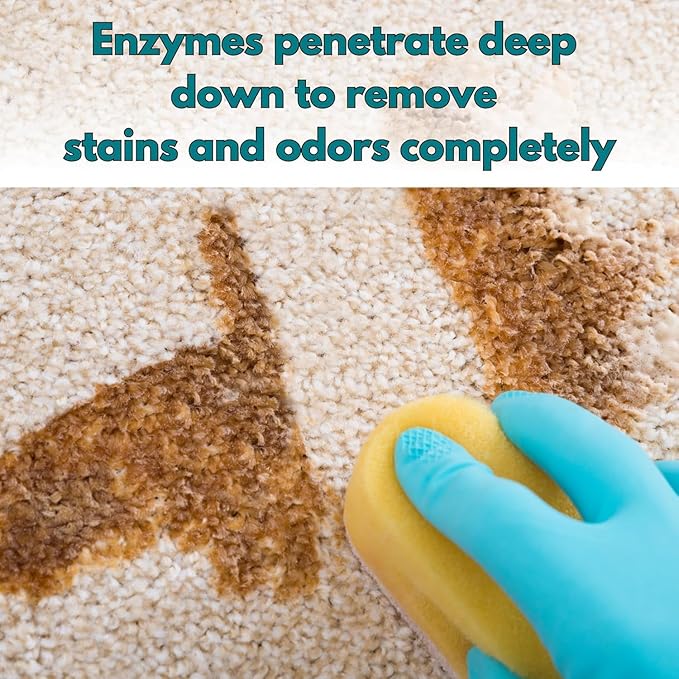 Pet Stain & Odor Remover - Fast-Acting Enzyme Cleaner for Dog & Cat Urine - Safe for Carpets, Floors, Furniture - Non-Toxic, Pet-Safe Formula - 32 oz Spray