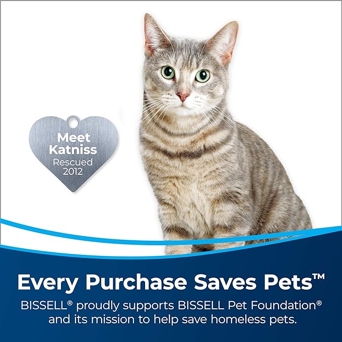 Bissell PET Stain & Odor Remover + Sanitize, 22oz, (1129)