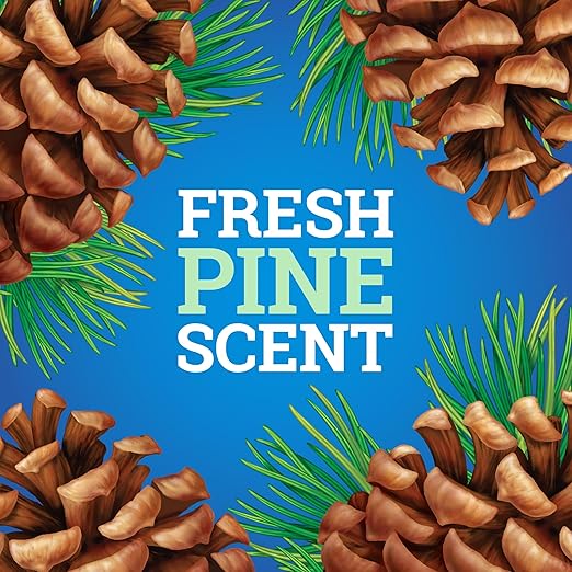 Pine-Sol Multi-Surface Cleaner, CloroxPro, 2x Concentrated Formula, All-Purpose Cleaner, Original Pine, 80 Fl Oz, Pack of 3