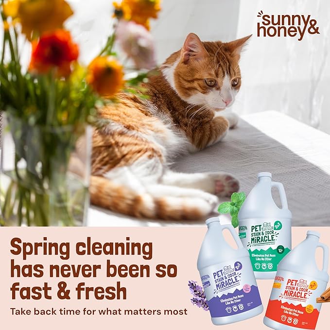 Sunny & Honey Pet Stain & Odor Miracle - Enzyme Cleaner for Dog Urine & Cat Pee - Pet Odor & Stain Remover for Carpet, Mattress, Furniture - Upholstery Cleaner & Deodorizer (1 Gallon, Fall Spice)