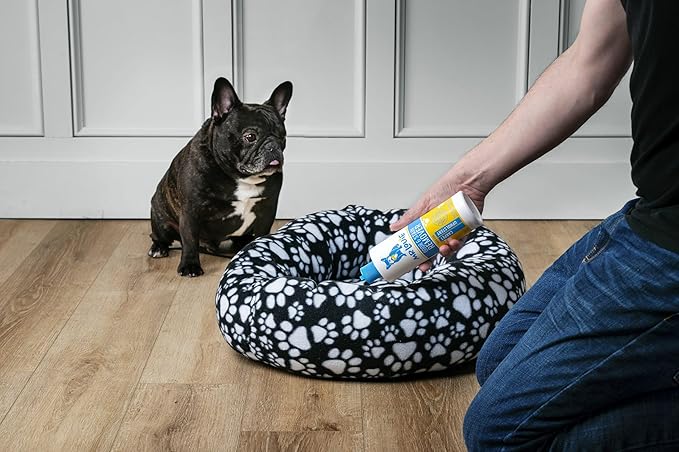 ODOR & STAIN REMOVER - Safe For Use Around Kids and Pets. Eliminates tough odors and stains from Blood, to Cat/Dog Urine, Feces, Vomit, to Food Stains like Ketchup, Red Wine, and Coffee.