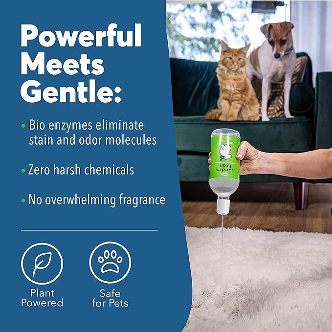 Ultimate Pet Odor Eliminator Bundle (2pk) - Stain & Odor Remover and Laundry Wash by Kinderbean