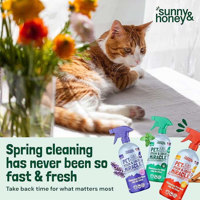 Sunny & Honey Pet Stain & Odor Miracle - Enzyme Cleaner for Dog Urine & Cat Pee - Surface Deodorizer for Pet Waste Odors - Upholstery Cleaner - Carpet Deodorizer (128 Fl Oz, Spring Mint Scent)