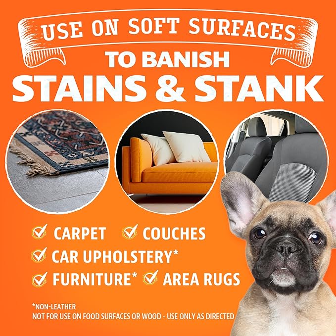 ANGRY ORANGE Foaming Carpet & Upholstery Cleaner for Dog Urine and Stains - Citrus - 24 oz