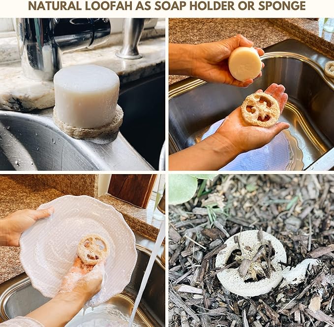RE: Dish Washing Soap Bars Value Pack (Loofah holder sponge included) - palm oil free, eco friendly, zero waste, plastic free, free of artificial dyes and fragrance (Citrus)