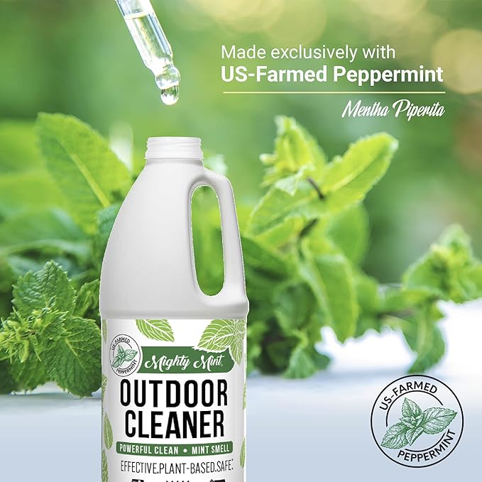 Mighty Mint Outdoor Cleaner, Powerful | Bleach-Free | Biodegradable, Cleans Stains from Mold & Mildew on Wood, Decks, Concrete, Patios, and Vinyl Siding, Natural Mint Scent, 32oz