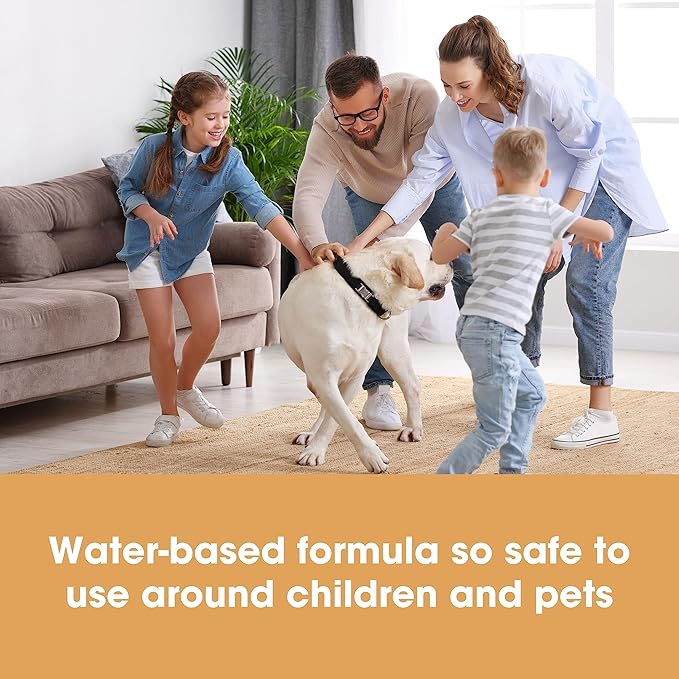 Furniture Clinic Stain & Odor Eliminator | Pee & Vomit Smell Removal for Dog, Cat, Pet and Human Messes & Accidents | Enzyme Activated Spray | Use on Furniture, Carpet, Mattresses & More (5L / 169 Oz)