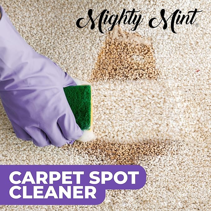 Mighty Mint Carpet Spot Cleaner, Non-Toxic Spray to Remove Carpet Stains Instantly, Natural Peppermint Scent, 16oz
