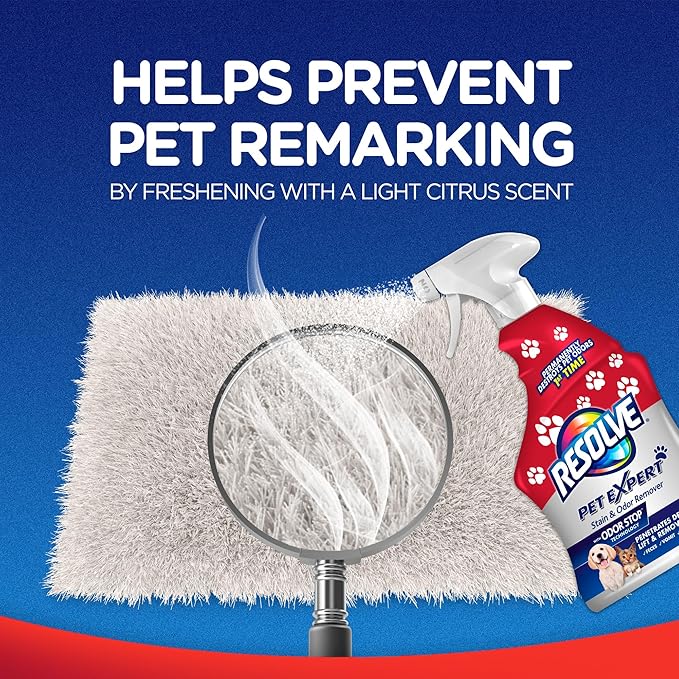 Resolve Pet Expert Stain and Odor Remover, Carpet Cleaner, Pet Stain and Odor Remover, Carpet & Upholstery Cleaner - Removes Stains and Odors, 22 oz (pack of 1)