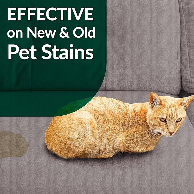 Simple Green Cat Stain & Odor Remover - Enzyme Cleaner for Cat Urine, Feces, Blood, Vomit (1 Gallon Refill) (Pack of 2)