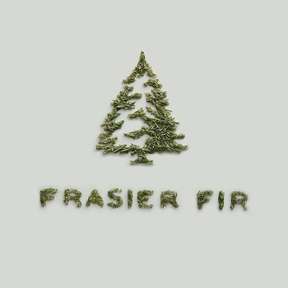 Thymes Soft Surface Scrub - Frasier Fir - Multipurpose Surface Cleaner - - Pine Scented Stain Remover with Baking Soda, Fennel & Parsley Extracts - Gentle Yet Effective Household Cleaner - 11.5 Fl Oz