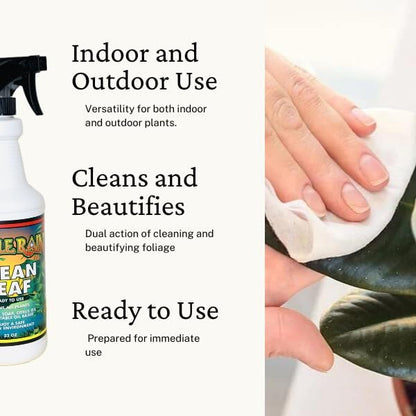 Jungle Rain Clean Leaf – Natural, Non-Toxic Plant & Tree Cleaner with Orange Oil & Castile Soap, Ready-to-Use 32oz Spray for Indoor & Outdoor Care, Defends Plants, Keeps Bugs at Bay, Since 1995