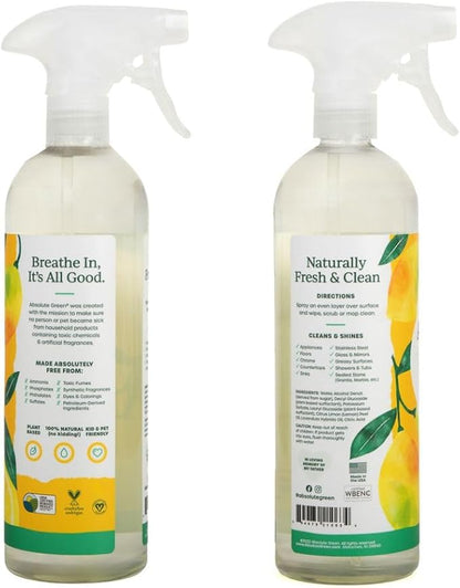 All Purpose Cleaner Spray, Non-Toxic, Kitchen, Bath, Countertop, Stainless, Safe around Kids + Pets, Natural Lemon Scent, 25 oz (1 Pack)