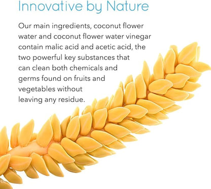 Rain Organic Fruit and Vegetable Wash All Natural Veggie Produce Cleaner for Safe Clean Eating, Baby Essential Eco Friendly Concentrated Strength for Gallons of Soak or Spray