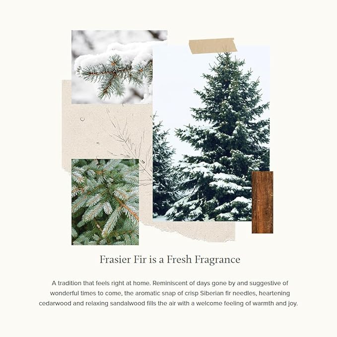 Thymes Soft Surface Scrub - Frasier Fir - Multipurpose Surface Cleaner - - Pine Scented Stain Remover with Baking Soda, Fennel & Parsley Extracts - Gentle Yet Effective Household Cleaner - 11.5 Fl Oz