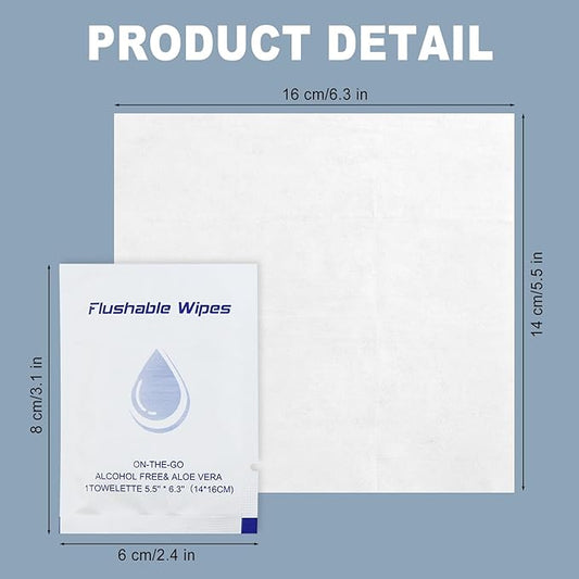 Flushable Wipes Travel Size，Flushable Wipes for Women Wet Wipes Travel Size，Butt Wipes for Women and Men，Wet Wipes Unscented Travel for Adult,Women,Men, Girl and Homeless (pack of 100, Aloe Vera)