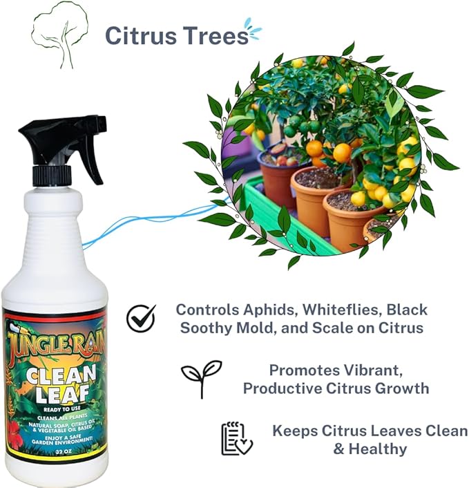 Jungle Rain Clean Leaf – Natural, Non-Toxic Plant & Tree Cleaner with Orange Oil & Castile Soap, Ready-to-Use 32oz Spray for Indoor & Outdoor Care, Defends Plants, Keeps Bugs at Bay, Since 1995