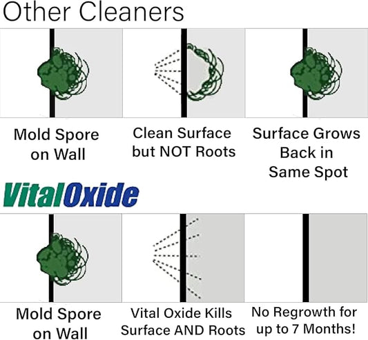 Vital Oxide Disinfectant, Deodorizer, Cleaner, Food-Contact Sanitizer, Virucide – (EPA registration #82972-1) – Kills Mold & Mildew, Eliminates Odors – 1 Gallon, 32 oz, & 3 oz