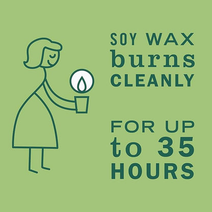 MRS. MEYER'S CLEAN DAY Variety, 1 Mrs. Meyer's Liquid Hand Soap Iowa Pine, 12.5 OZ, 1 Mrs. Meyer's Liquid Dish Soap Iowa Pine, 16 OZ, 1 CT