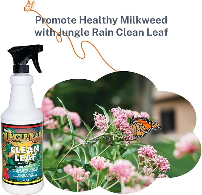 Jungle Rain Clean Leaf – Natural, Non-Toxic Plant & Tree Cleaner with Orange Oil & Castile Soap, Ready-to-Use 32oz Spray for Indoor & Outdoor Care, Defends Plants, Keeps Bugs at Bay, Since 1995