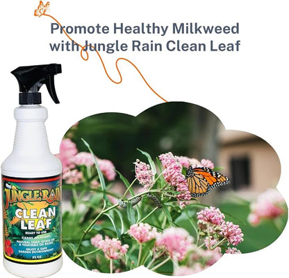 Jungle Rain Clean Leaf – Natural, Non-Toxic Plant & Tree Cleaner with Orange Oil & Castile Soap, Ready-to-Use 32oz Spray for Indoor & Outdoor Care, Defends Plants, Keeps Bugs at Bay, Since 1995