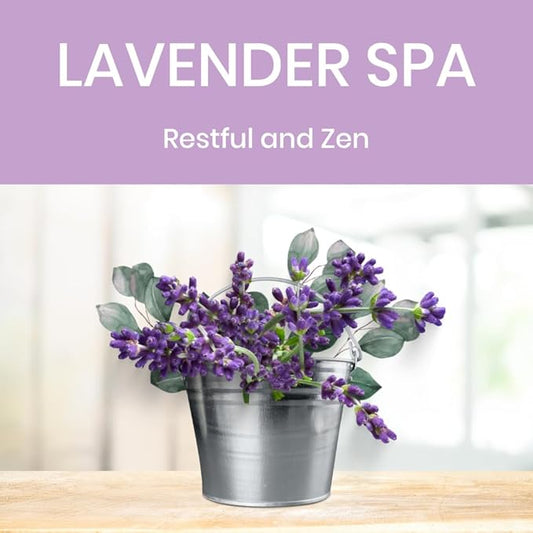 All Purpose Cleaner Spray, Non-Toxic, Kitchen, Bath, Countertop, Stainless, Safe around Kids + Pets, Natural Lavender Spa Scent, 25 oz (2 Pack)