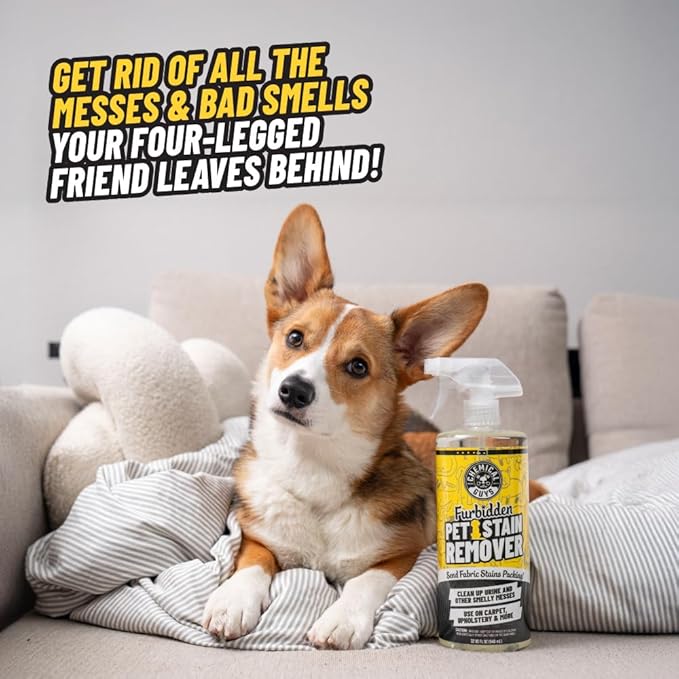 Chemical Guys Furbidden Pet Stain Remover For Car & Home, Carpet & Upholstery Cleaner, Eliminates Pet Odors & Stains From Urine & Vomit, Multi-Surface Pet Odor Neutralizer - From (32 Fl Oz)