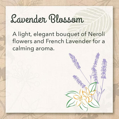 Eco Me Natural Non-Toxic Concentrated Liquid Laundry Detergent, Healthy Lavender Blossom Scent, 32 Ounce