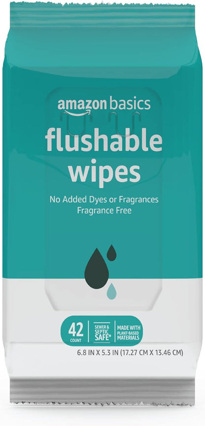 Amazon Basics Flushable Adult Toilet Wipes, Fragrance Free, 504 Count (12 Packs of 42)