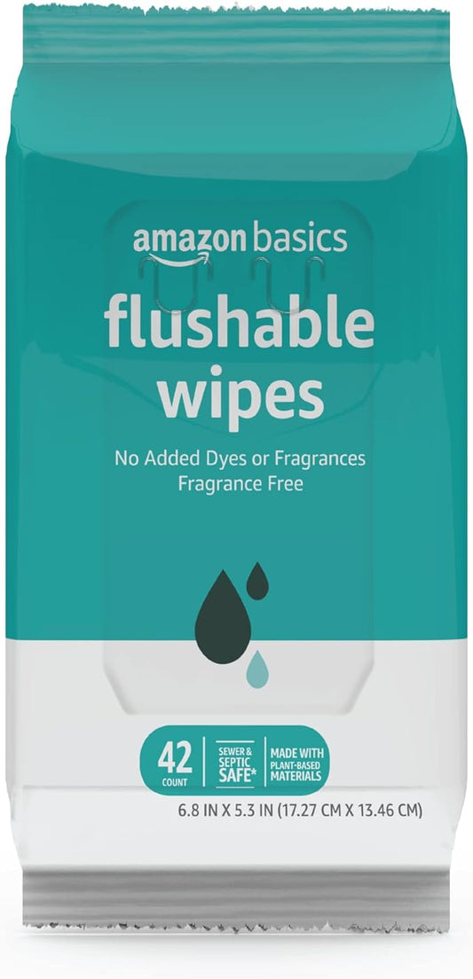 Amazon Basics Flushable Adult Toilet Wipes, Fragrance Free, 504 Count (12 Packs of 42)
