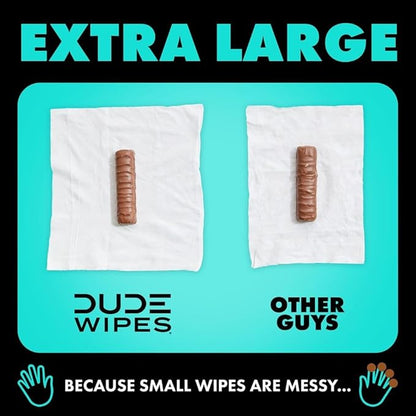 DUDE Wipes - Flushable Wipes with DUDE Bombs Toilet Spray - 18 Pack, 864 Wipes + 1 Spray Bottle - Mint Chill Extra-Large Adult Wet Wipes with Eucalyptus & Tea Tree Oil - Forest Fresh Stank Eliminator