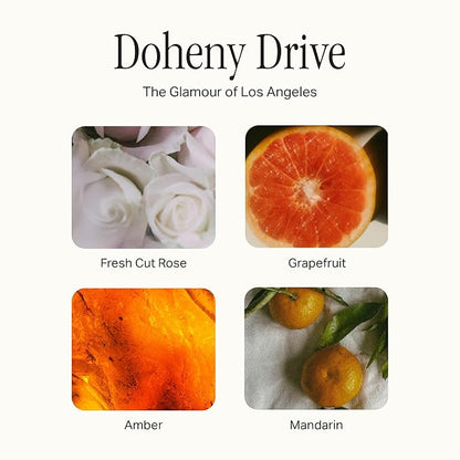 Dish Soap, Clean Ingredients, Tough on Grease & Residue, Safe for People & Pets
