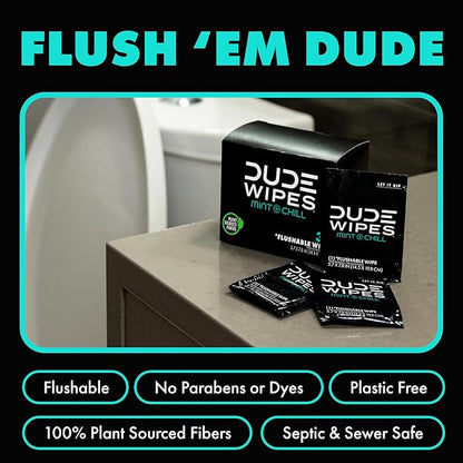 DUDE Wipes - On-The-Go Flushable Wipes - 48 Count (Pack of 2) - Mint Chill Extra-Large Individually Wrapped Adult Wet Wipes with Eucalyptus & Tea Tree Oil - Septic and Sewer Safe