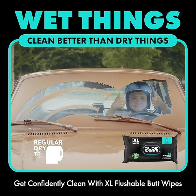 DUDE Wipes - Flushable Wipes with DUDE Bombs Toilet Spray - 18 Pack, 864 Wipes + 1 Spray Bottle - Mint Chill Extra-Large Adult Wet Wipes with Eucalyptus & Tea Tree Oil - Forest Fresh Stank Eliminator