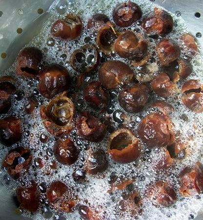 Organic Soap Nuts Deseeded 1.1lbs 180 Washes Eco-friendly SoapNuts Laundry Detergent Highly Effective, Hand-picked, Fragrances-free & natural fabric softener