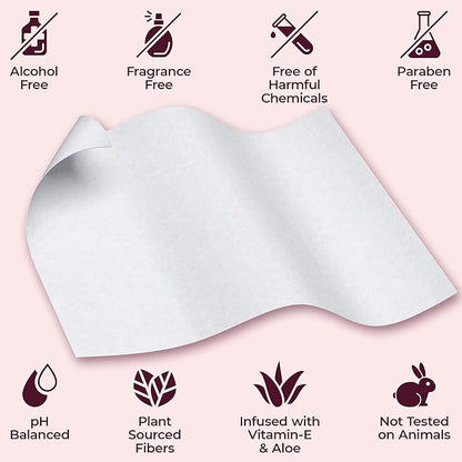 BOOTY WIPES Flushable Wipes Women - 80 Count, Pack of 4 Wet Wipes for Adults - pH Balanced Feminine Wipes with Aloe and Vitamin E - Gentle Cleansing Female Toilet Wipes for Sensitive Skin