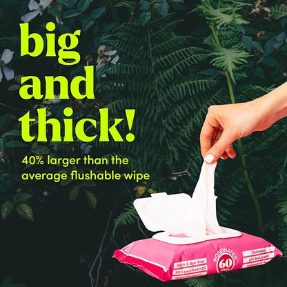 Goodwipes Flushable Butt Wipes Made with Vitamin E & Aloe - Soft & Gentle Wet Wipe Dispenser for Home Use, Septic & Sewer Safe - Largest Adult Toilet Towelettes - Rosewater, 480 Count (8 Packs)